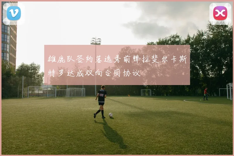 雄鹿队签约落选秀前锋拉斐尔卡斯特罗达成双向合同协议
